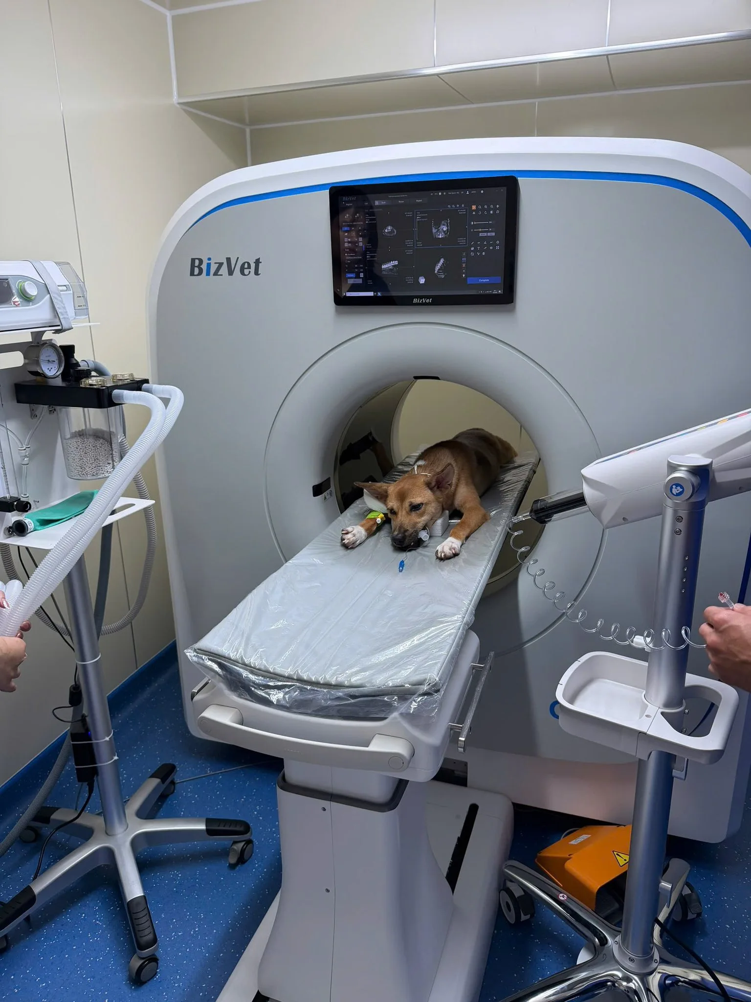 Máy CT Scan được ứng dụng trong chẩn đoán tại Bệnh viện Thú y Quốc tế Belwee có địa chỉ tại 1E Trần Não. Đây là một trong những phương pháp chẩn đoán tiên tiến nhất hiện tại trên thú cưng. Góp nâng cao chất lượng trong hệ sinh thái chăm sóc thú cưng tại đây.