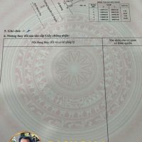 661222908_1458005579456778_7266995092497356042_n