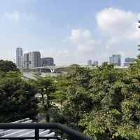 Saigon Pearl Villa 17