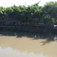 View sông từ khu đất 98 Gò Cát Phú Hữu Thủ Đức
